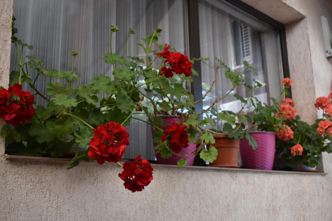 Vila Maricris Tuzla Buitenkant foto